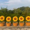 Sunflower Milk Fabric Weave Ornament DIY Craft Kit - Image 2